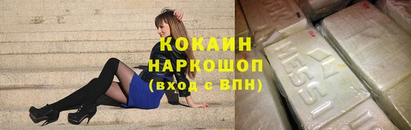 стаф Аркадак