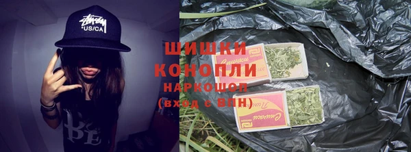стаф Аркадак