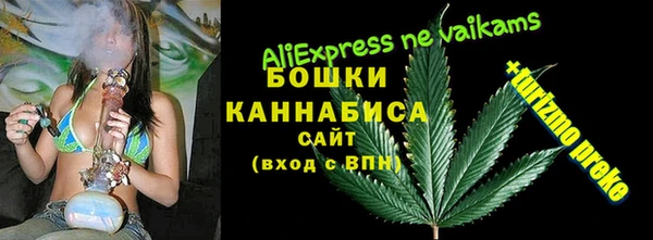 молекула духа Армянск